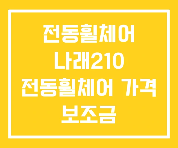 전동휠체어 나래210 전동휠체어 가격 보조금 전동휠체어 나래210 전동휠체어 가격 보조금