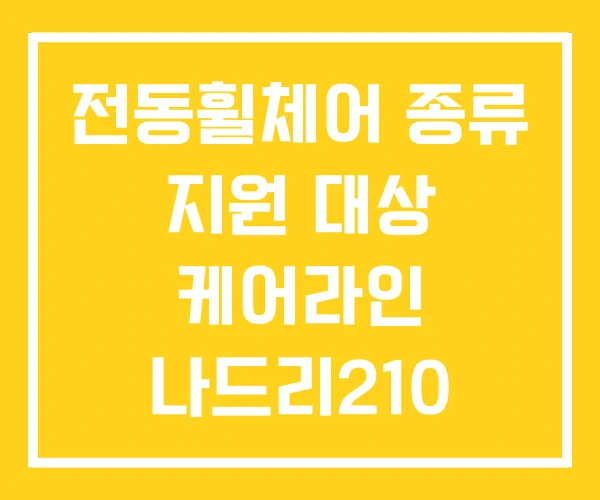 전동휠체어 종류 지원 대상 케어라인 나드리210 전동휠체어 종류 지원 대상 케어라인 나드리210
