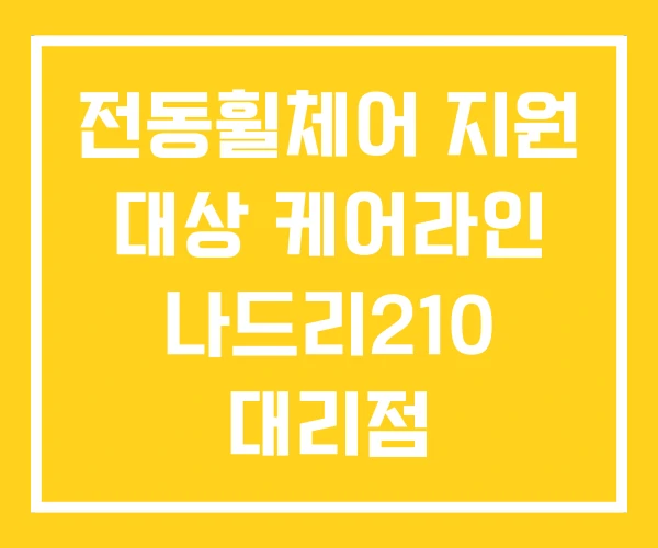 전동휠체어 지원 대상 케어라인 나드리210 대리점 전동휠체어 지원 대상 케어라인 나드리210 대리점