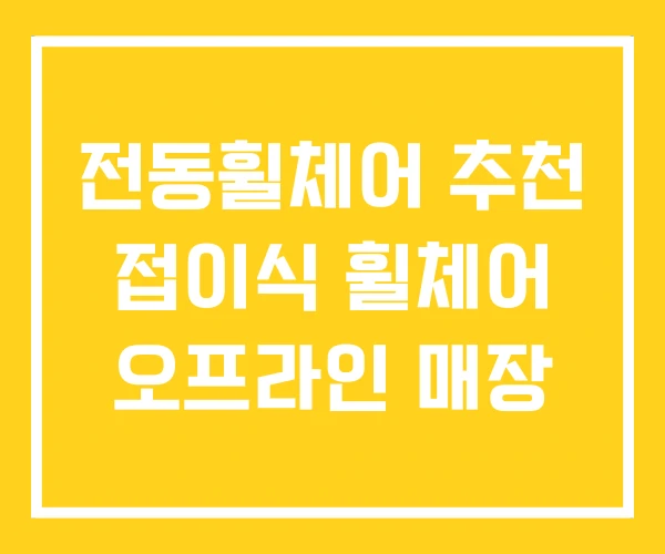 전동휠체어 추천 접이식 휠체어 오프라인 매장 전동휠체어 추천 접이식 휠체어 오프라인 매장