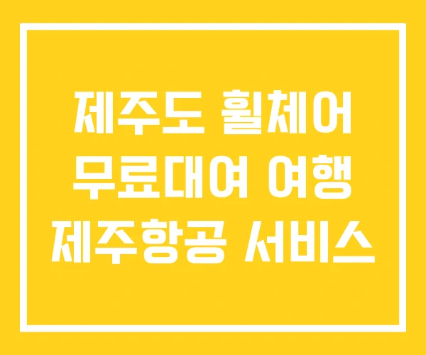 제주도 휠체어 무료대여 여행 제주항공 서비스 제주도 휠체어 무료대여 여행 제주항공 서비스