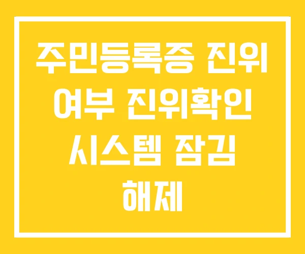 주민등록증 진위 여부 진위확인 시스템 잠김 해제 주민등록증 진위 여부 진위확인 시스템 잠김 해제