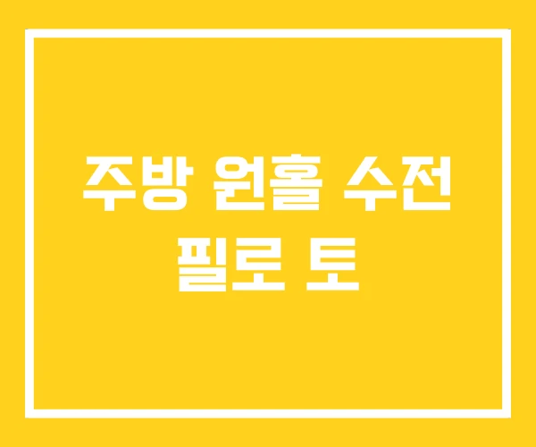 주방 원홀 수전 필로 토 주방 원홀 수전 필로 토