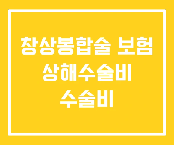 창상봉합술 보험 상해수술비 수술비 창상봉합술 보험 상해수술비 수술비