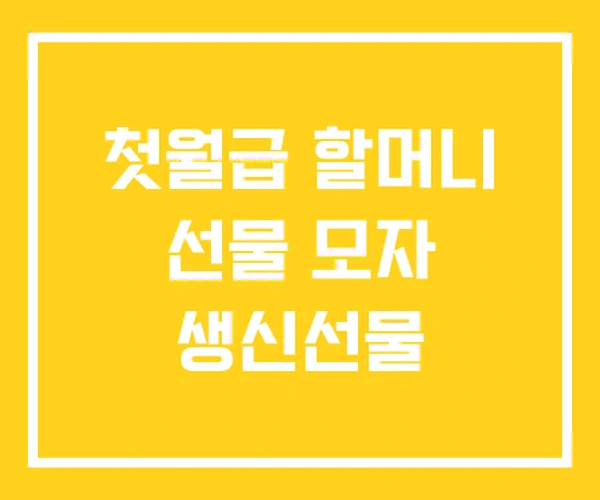 첫월급 할머니 선물 모자 생신선물 첫월급 할머니 선물 모자 생신선물