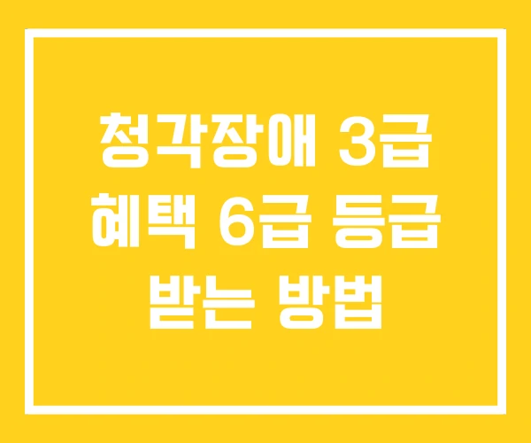 청각장애 3급 혜택 6급 등급 받는 방법