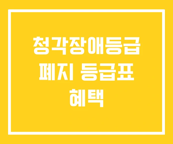 청각장애등급 폐지 등급표 혜택