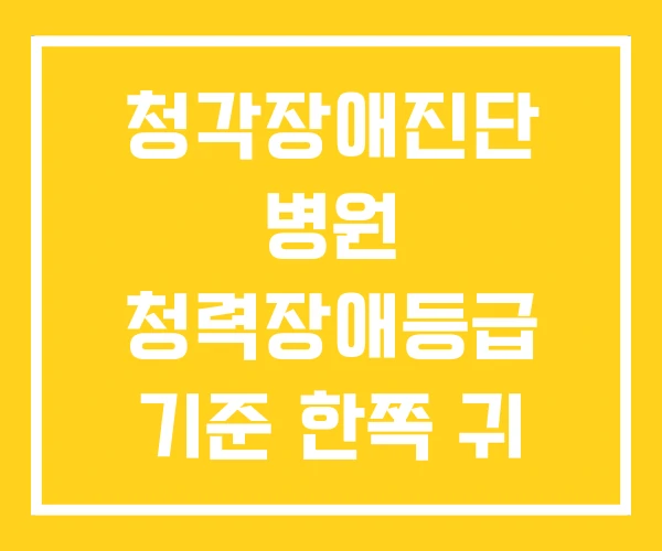 청각장애진단 병원 청력장애등급 기준 한쪽 귀 난청 장애등급 청각장애진단 병원 청력장애등급 기준 한쪽 귀 난청 장애등급