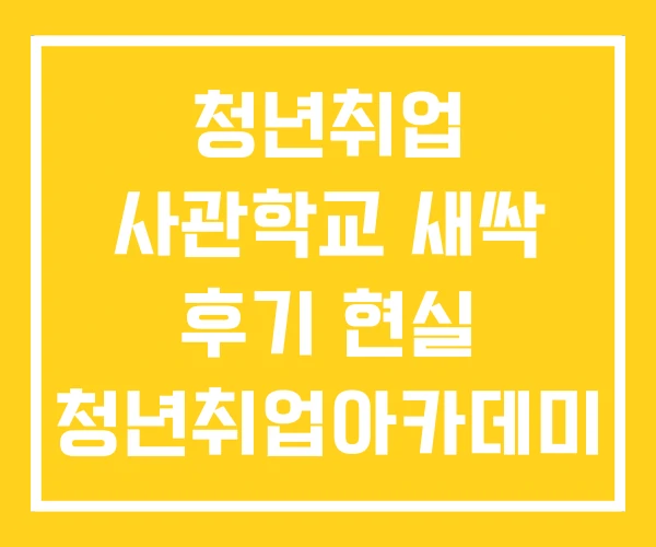 청년취업 사관학교 새싹 후기 현실 청년취업아카데미