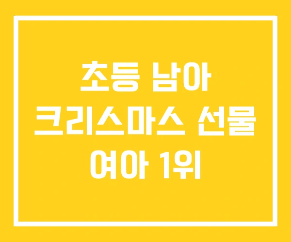초등 남아 크리스마스 선물 여아 1위 초등 남아 크리스마스 선물 여아 1위