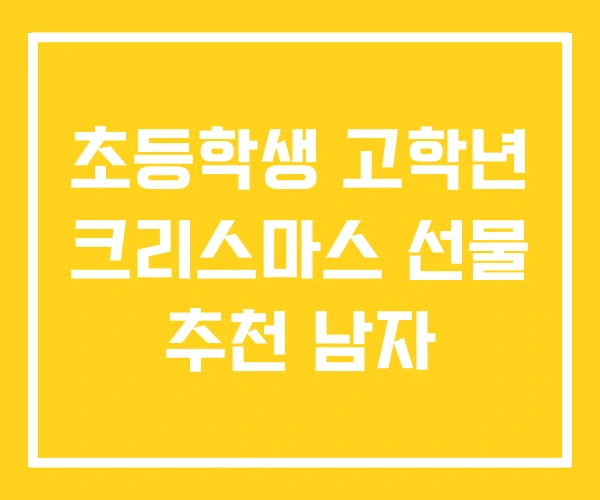 초등학생 고학년 크리스마스 선물 추천 남자 초등학생 고학년 크리스마스 선물 추천 남자