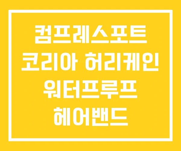 컴프레스포트 코리아 허리케인 워터프루프 헤어밴드