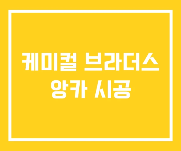 케미컬 브라더스 앙카 시공