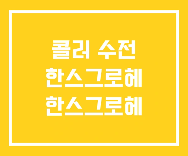콜러 수전 한스그로헤 한스그로헤 콜러 수전 한스그로헤 한스그로헤