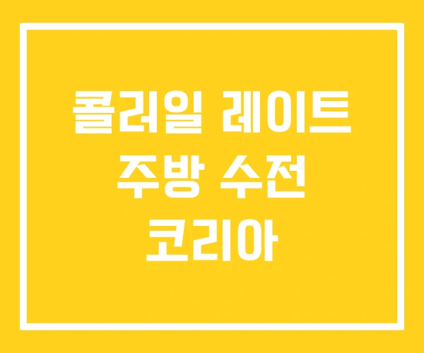콜러일 레이트 주방 수전 코리아