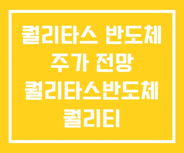 퀄리타스 반도체 주가 전망 퀄리타스반도체 퀄리티 퀄리타스 반도체 주가 전망 퀄리타스반도체 퀄리티