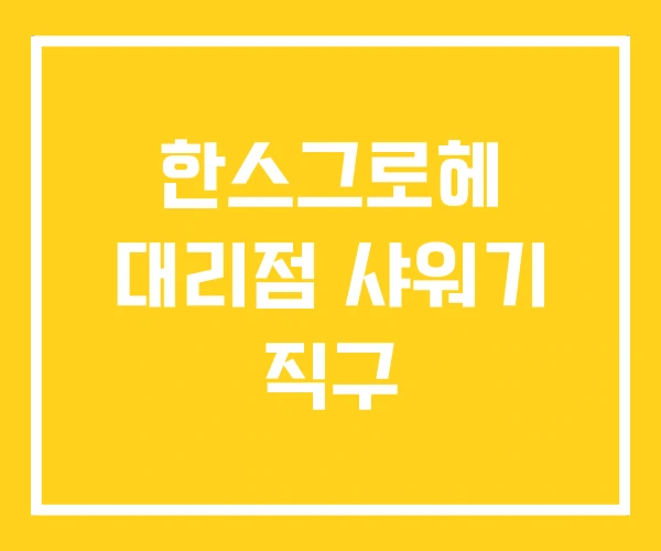 한스그로헤 대리점 샤워기 직구 한스그로헤 대리점 샤워기 직구