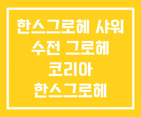 한스그로헤 샤워 수전 그로헤 코리아 한스그로헤