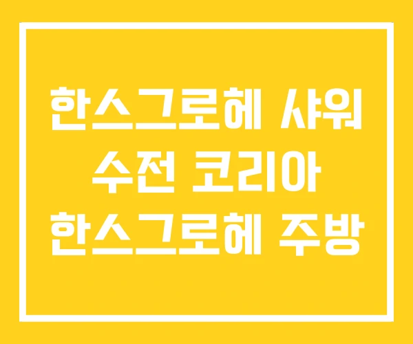 한스그로헤 샤워 수전 코리아 한스그로헤 주방 한스그로헤 샤워 수전 코리아 한스그로헤 주방
