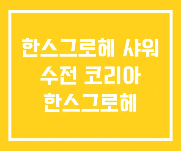 한스그로헤 샤워 수전 코리아 한스그로헤 한스그로헤 샤워 수전 코리아 한스그로헤