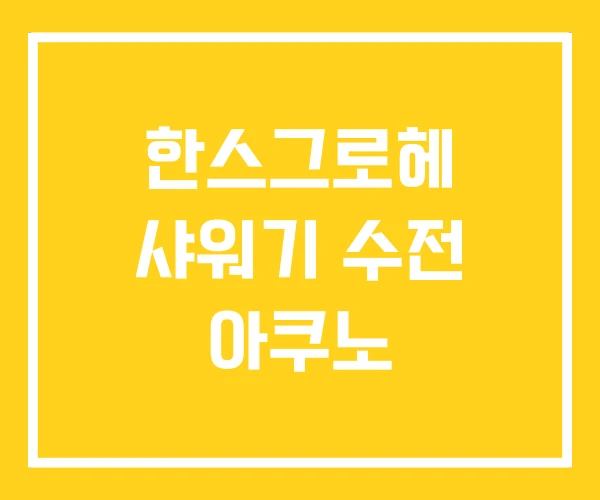 한스그로헤 샤워기 수전 아쿠노 한스그로헤 샤워기 수전 아쿠노