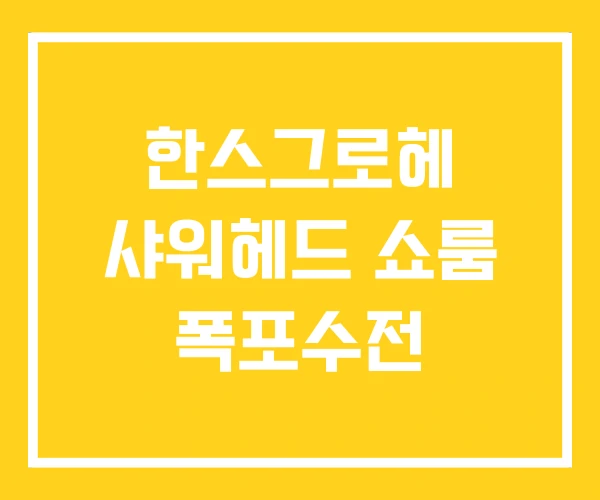 한스그로헤 샤워헤드 쇼룸 폭포수전 한스그로헤 샤워헤드 쇼룸 폭포수전