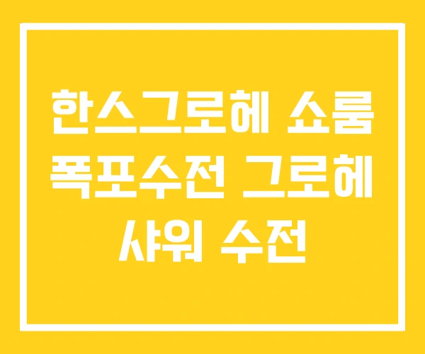 한스그로헤 쇼룸 폭포수전 그로헤 샤워 수전 한스그로헤 쇼룸 폭포수전 그로헤 샤워 수전