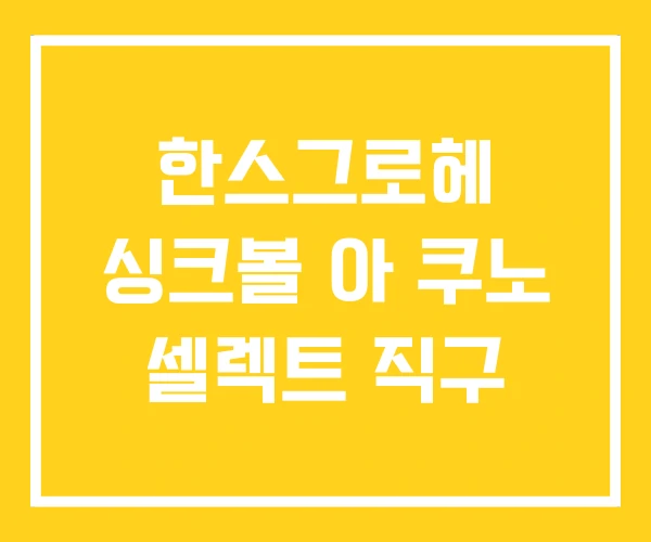 한스그로헤 싱크볼 아 쿠노 셀렉트 직구 한스그로헤 싱크볼 아 쿠노 셀렉트 직구