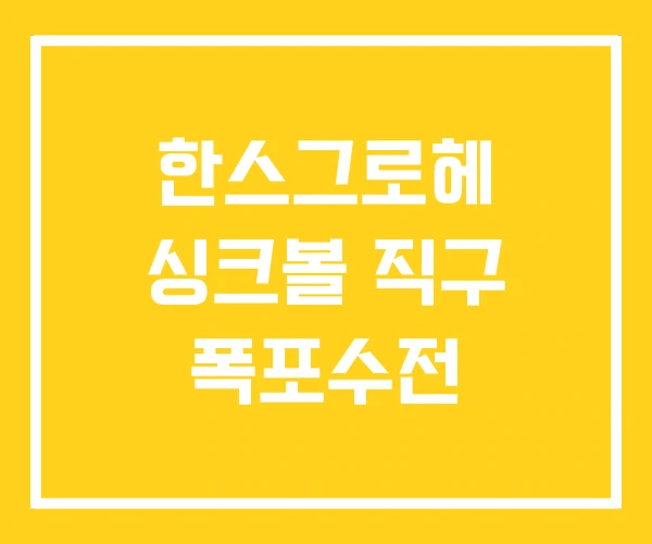 한스그로헤 싱크볼 직구 폭포수전 한스그로헤 싱크볼 직구 폭포수전