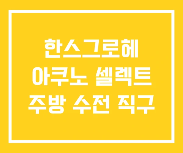 한스그로헤 아쿠노 셀렉트 주방 수전 직구