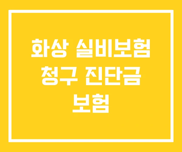 화상 실비보험 청구 진단금 보험